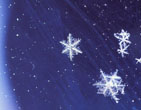 Christmas Wallpapers 324